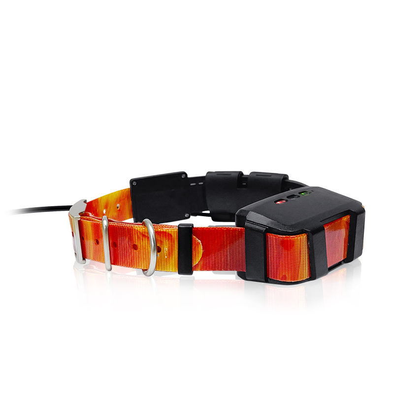 Hunting Dog Outdoor - 2023 Trending Product Outdoor Hunting Gear