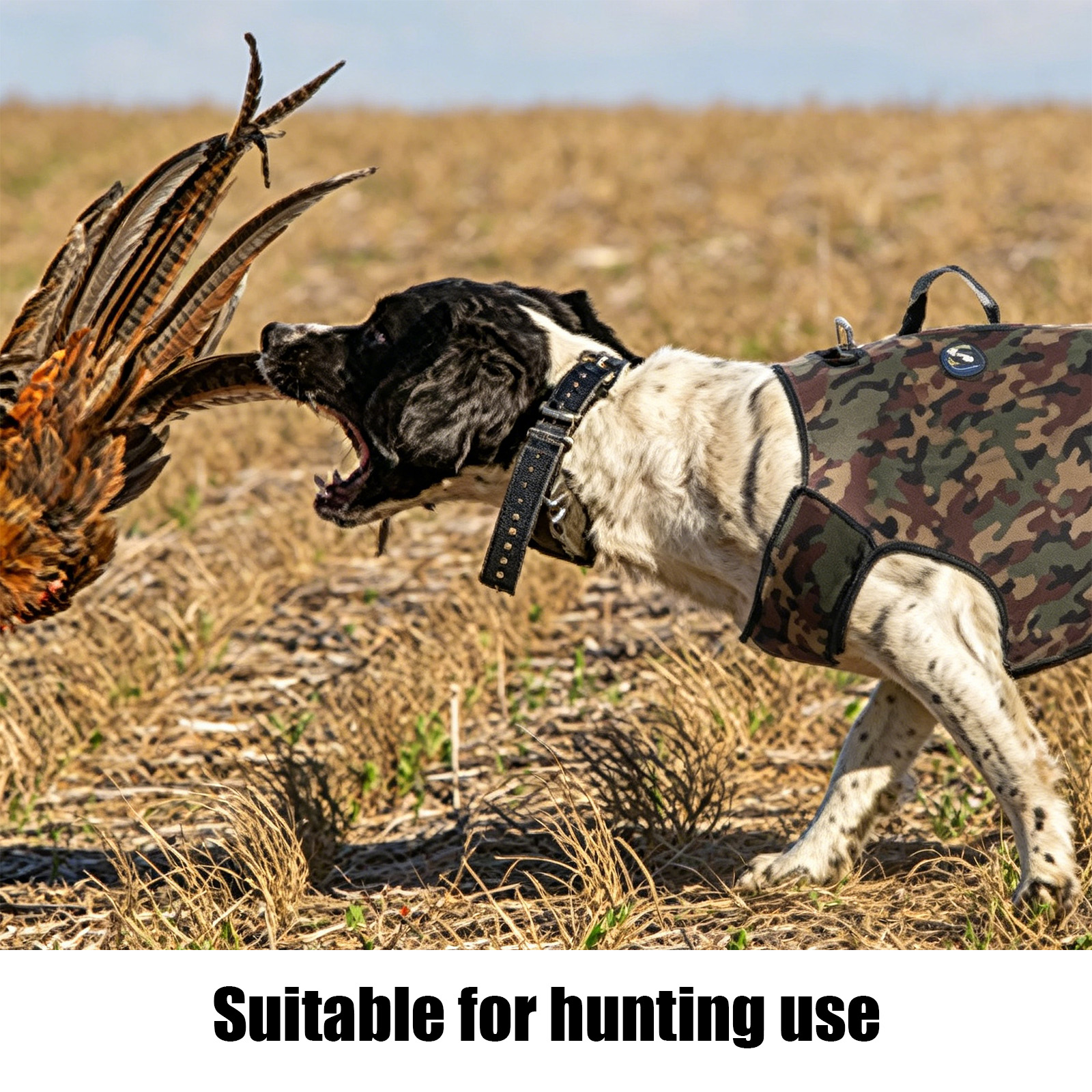 Camouflage Hunting Dog Clothes - Hunting Dog Outdoor avaliação e preço