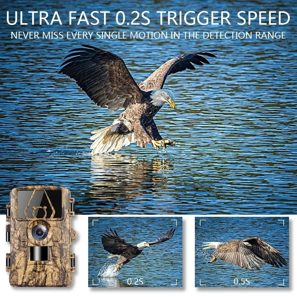 PR801W WIFI 8K 60MP Digital Tr - Outdoor Hunting Digital Night Vision avaliação e preço