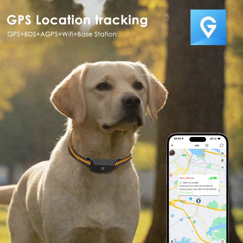 Dog GPS Tracker Outdoor Campin - Hunting Dog Outdoor avaliação e preço