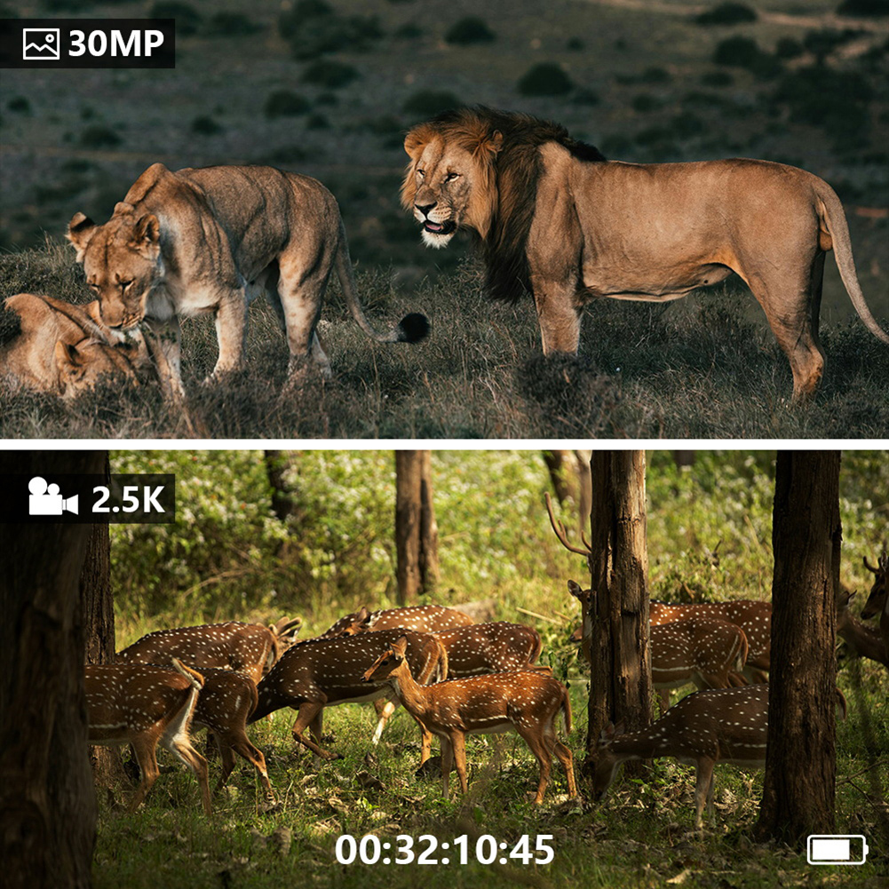 Digital Night-Vision Device Da - Outdoor Hunting Digital Night Vision avaliação e preço